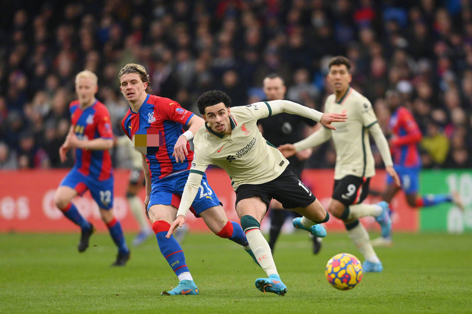 以新鲜的活 以新鲜的活